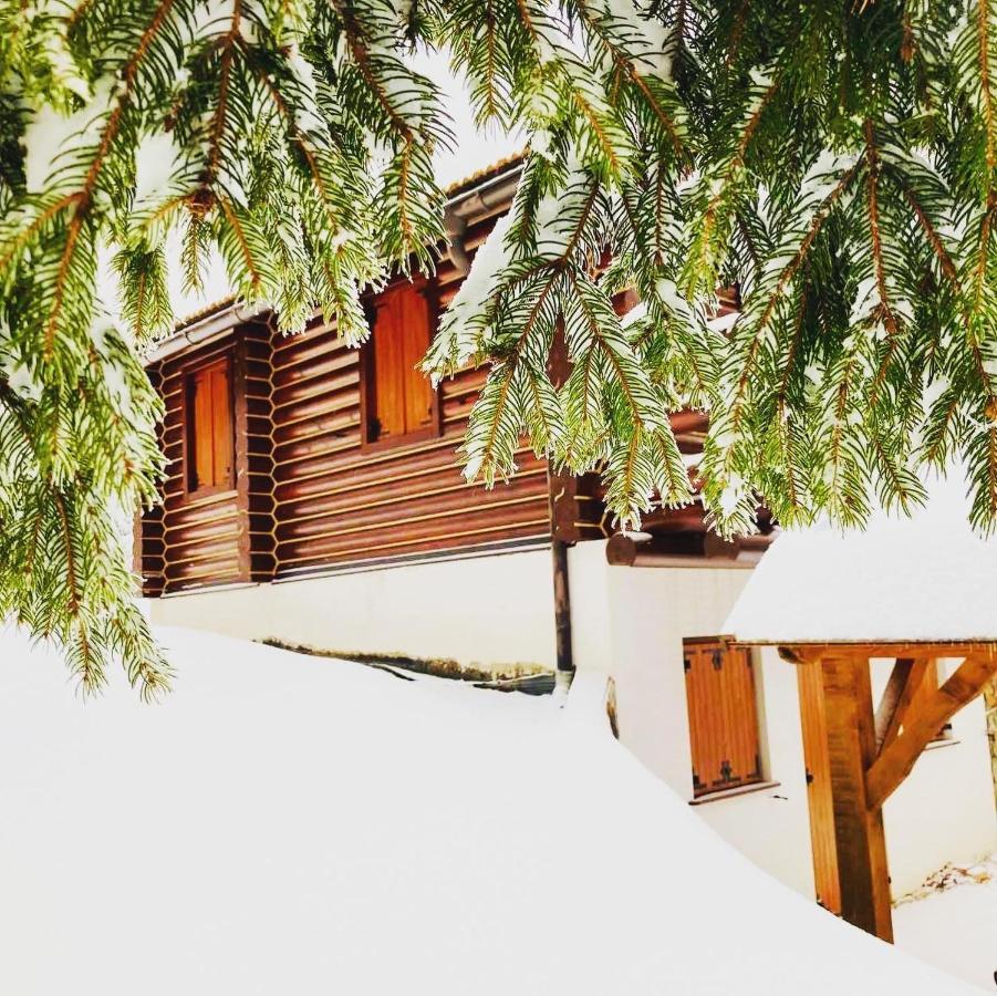 Pine Lodge Hlevci Eksteriør billede